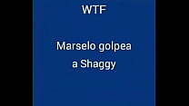 Marselo golpea a shaggy